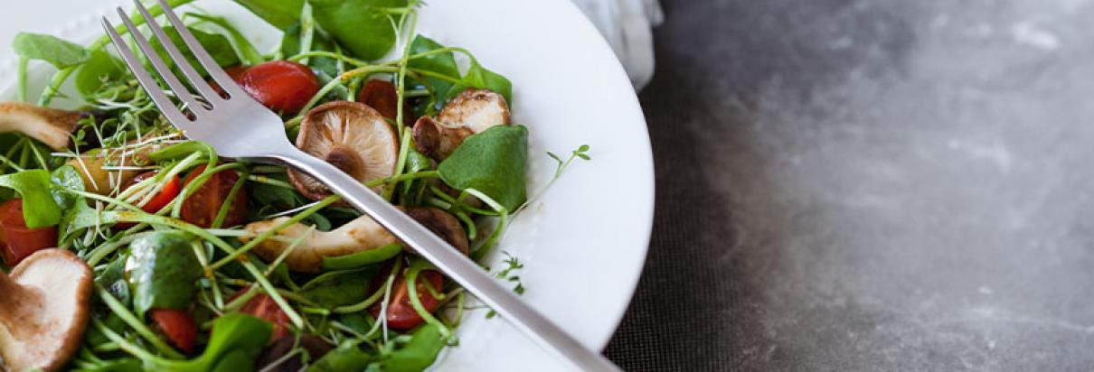 Rezept: Mit dem Fresubin 2 KCAL Drink in der Geschmacksrichtung Champignon eine nährstoffreichen Waldpilz-Salat zubereiten.