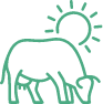 cow_icon
