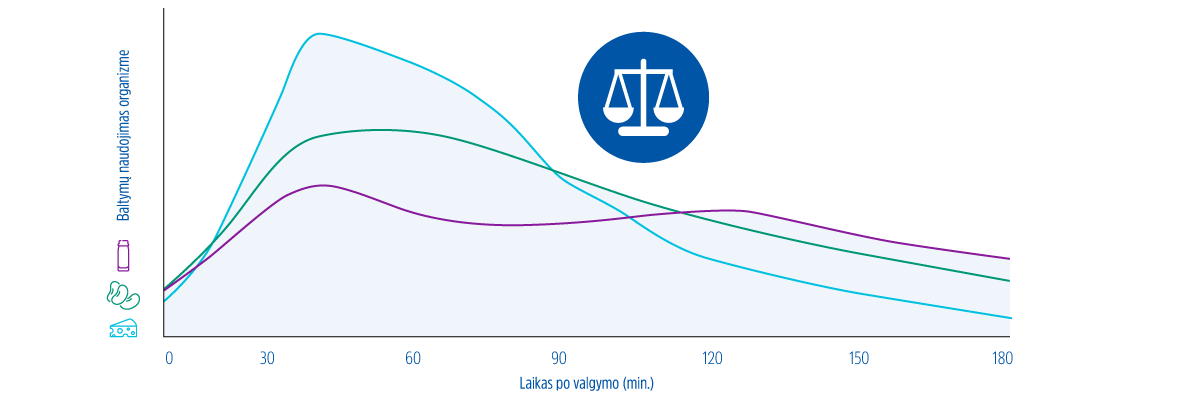 baltymų naudojimas organizme