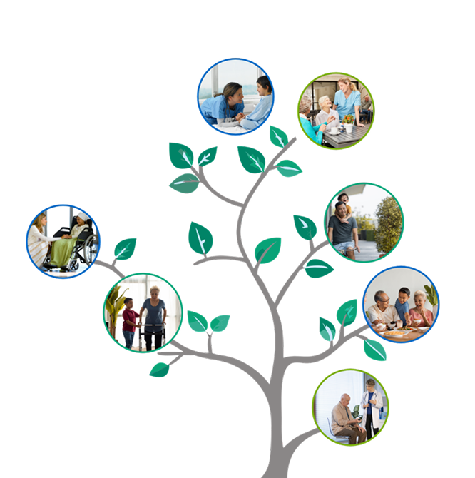 Baum mit Bildern von Patient:innen an den Ästen
