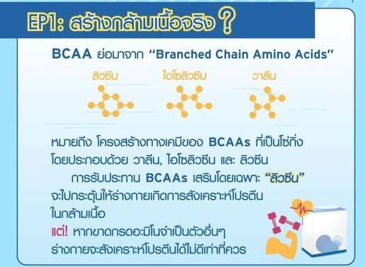 bcaa1.1