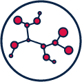 Prebiotic fibre