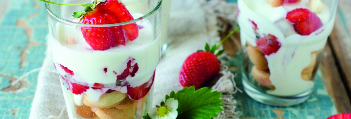 FOTO TIRAMISU.jpg