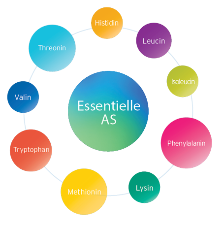 Fresubin Protein Shot: Komplettes essentielles Aminosäurenprofil
