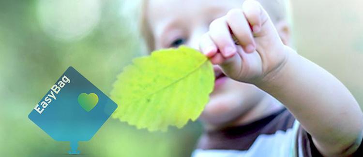 child holding a leaf