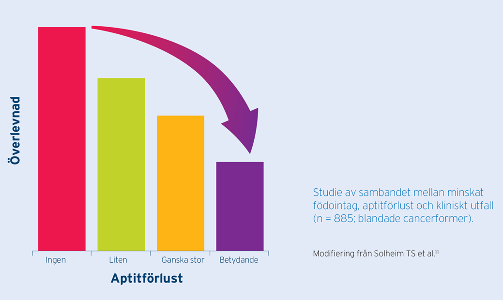 Anorexiastudie