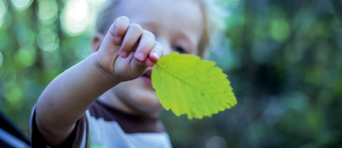 boy with a leaf