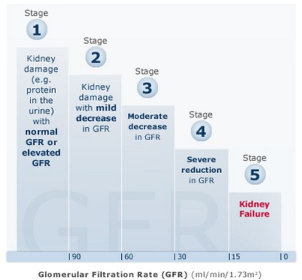CKD graph