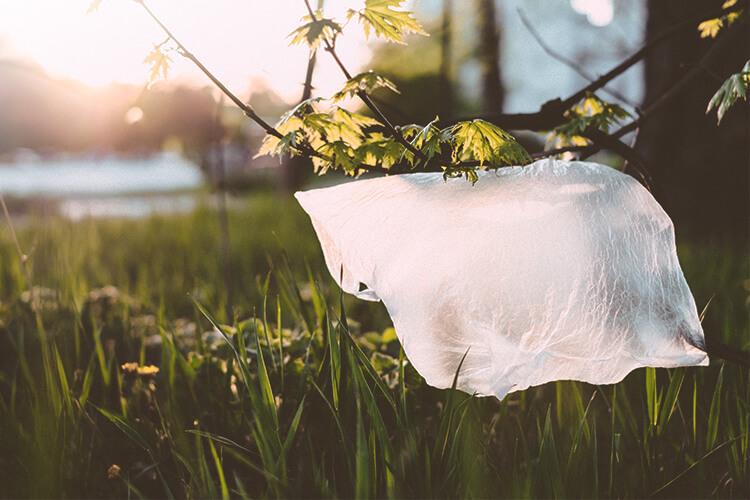 Plastic bag
