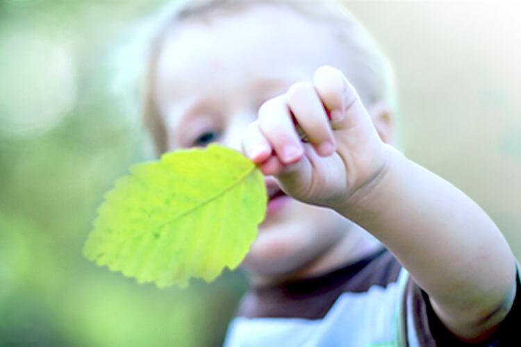 Boy with leaf