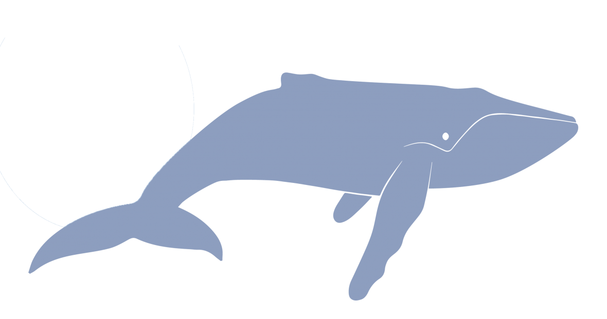 Entspricht dem Gewicht von 100 Blauwalen