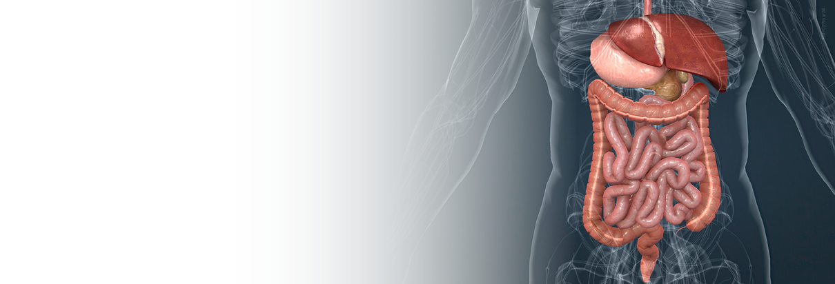 BMF 27_MAT-27_Síndromes Disabsortivas_IMG_1210x412_FINAL.png