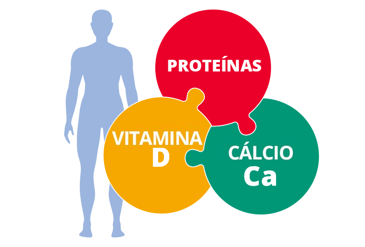 protein_vitamin_calcium