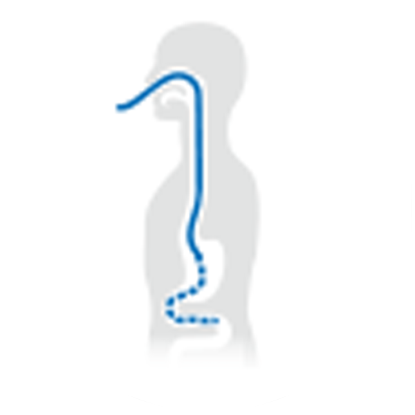 Icon Intestinal Tube