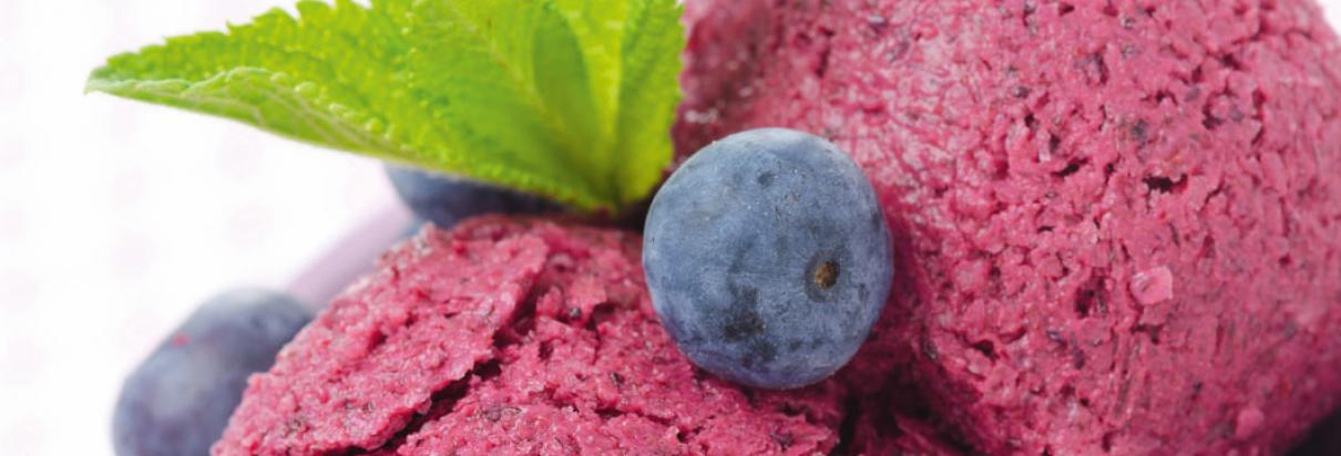 Fruits of the forest sorbet